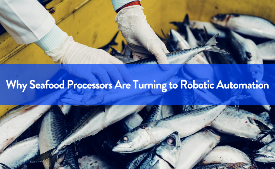 Why Seafood Processors Are Turning to Robotic Automation