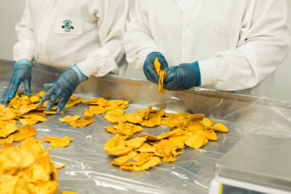 Shoulder-to-shoulder workers sorting food items in a food processing plant.