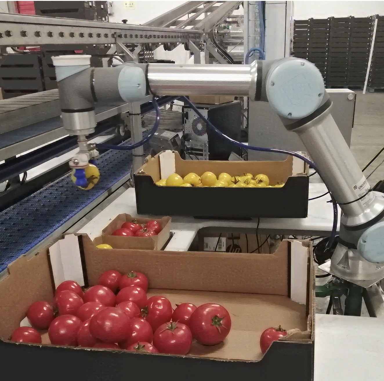 Soft Robotics Food Automation Solutions Combing 3D vision, Artificial  Intelligence and Soft Grasping